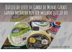 QUEIJO DE LEITE DE CABRA MEDALHISTA - CAPRIL SANTA CECÍLIA