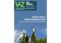 Veja o destaque da Caprinocultura e Ovinocultura na revista do CRMV