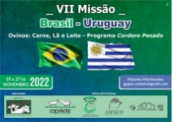VII MISSÃO BRASIL – URUGUAY  19 a 27/11/2022
